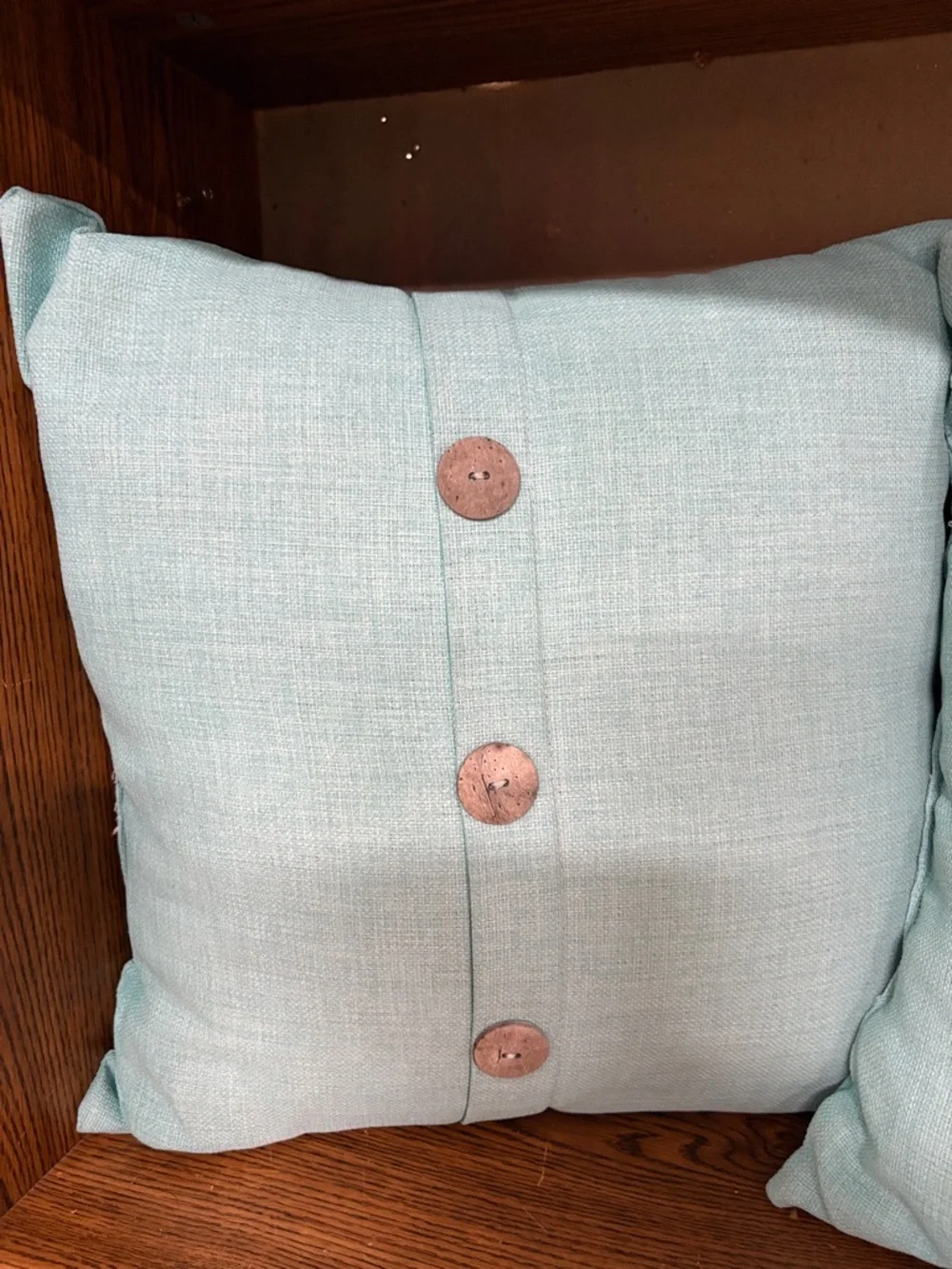 Set of 3 accent Pillows
